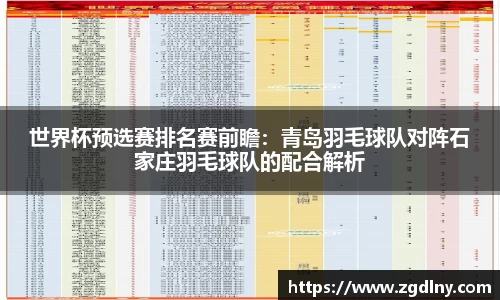 世界杯预选赛排名赛前瞻：青岛羽毛球队对阵石家庄羽毛球队的配合解析